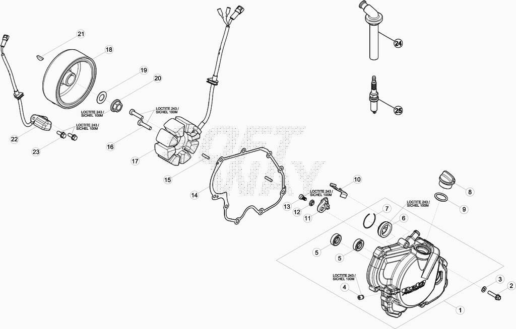 ALLUMAGE POUR 350 RR 2019