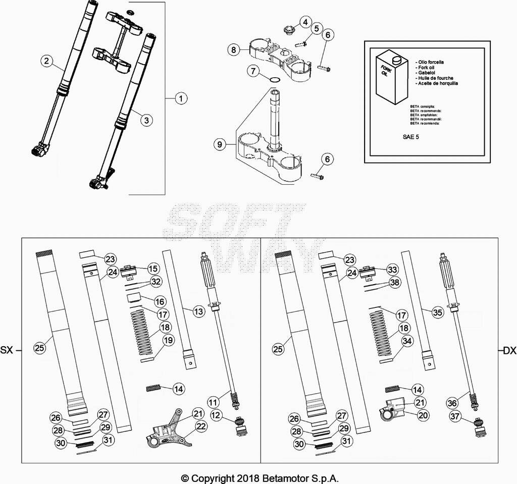 FOURCHE POUR 350 RR 2019