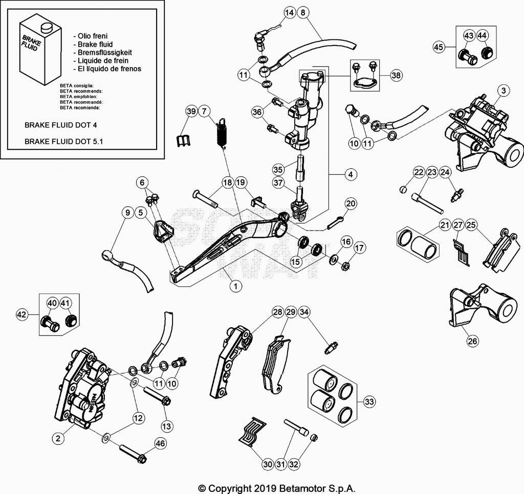 FREINS POUR 250 XTRAINER 2020