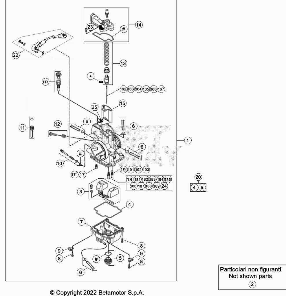 CARBURATEUR POUR 300 XTRAINER 2021