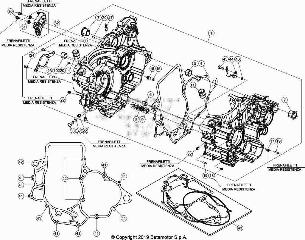 CARTER MOTEUR POUR 350 RR 2021