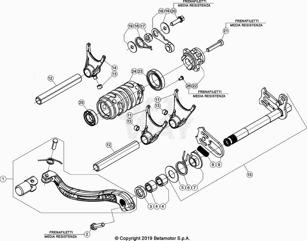 COMMANDE DE BOITE POUR 250 RR 2024