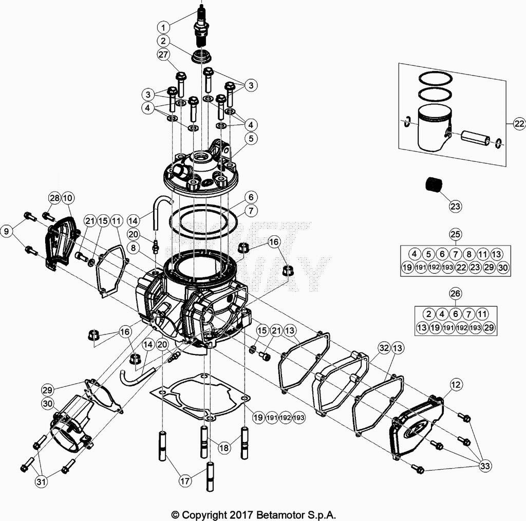 CYLINDRE CULASSE POUR 250 XTRAINER 2023