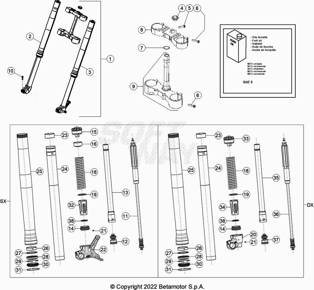 FOURCHE POUR BETA 200 RR 2023