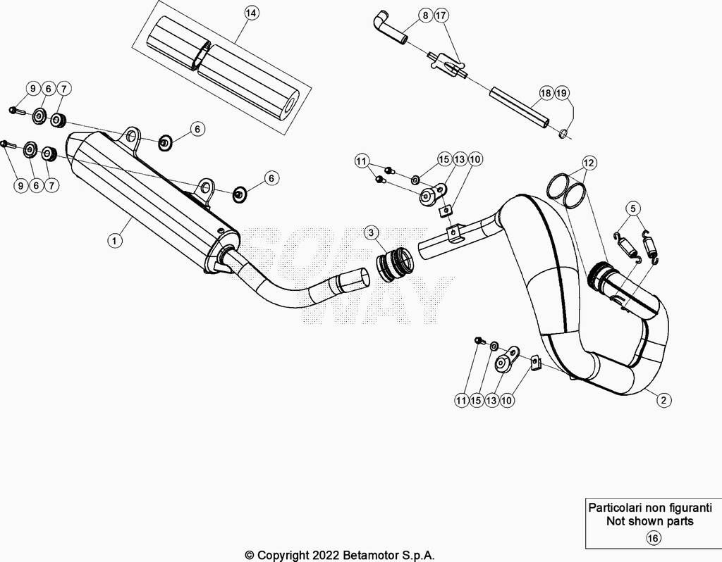 ECHAPPEMENT POUR 250 XTRAINER 2023