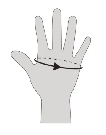 Guide des tailles gant